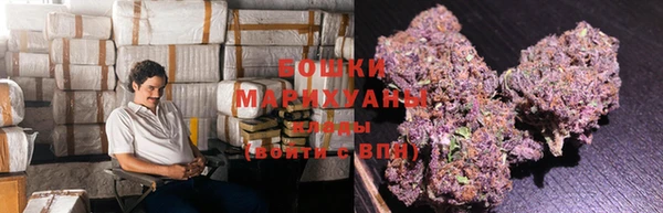 МДПВ Гатчина