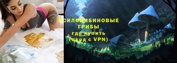 MDMA Гвардейск