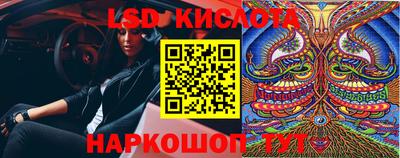 крисы Кандалакша