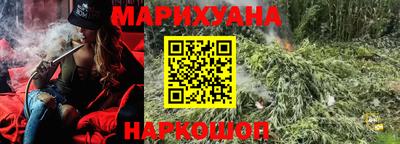 крисы Кандалакша