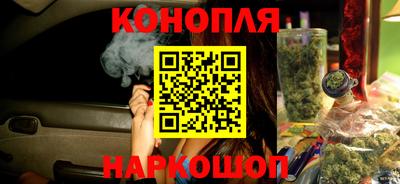 крисы Кандалакша