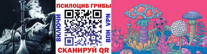купить закладку  Кунгур  Галлюциногенные грибы ЛСД 