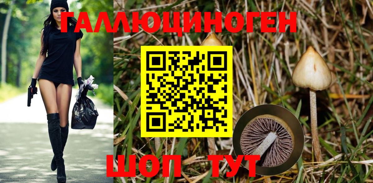 Псилоцибиновые грибы мицелий  Вход с VPN  Галлюциногенные грибы Psilocybine cubensis  Кунгур 